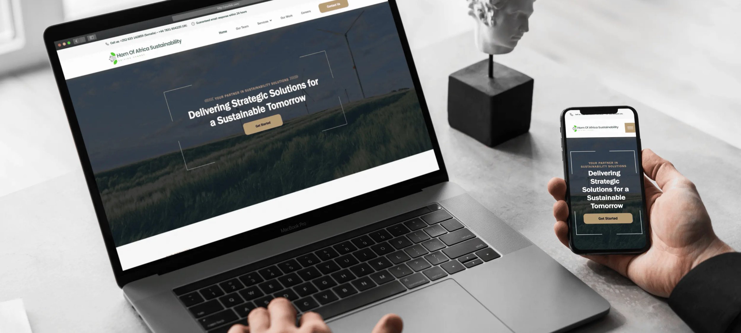 website on laptop
