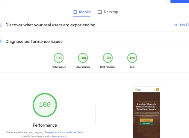 Google PageSpeed Test